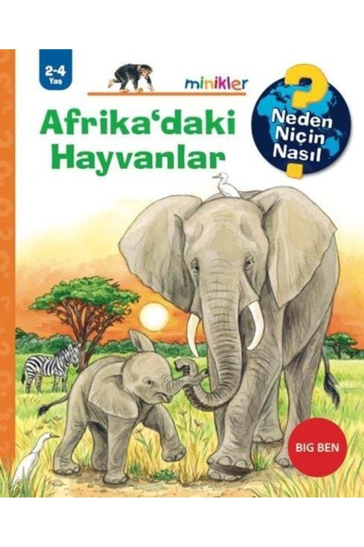 Destek Yayınları Afrikadaki Hayvanlar Neden Niçin Nasıl 2 4 Yaş