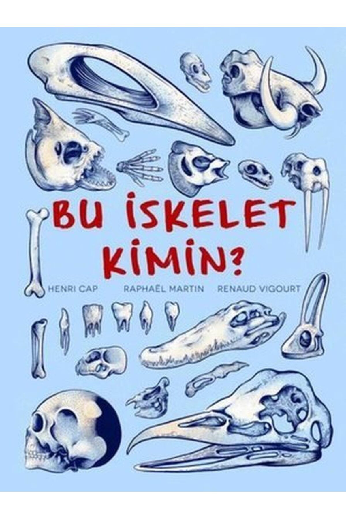 Destek Yayınları Bu İskelet Kimin