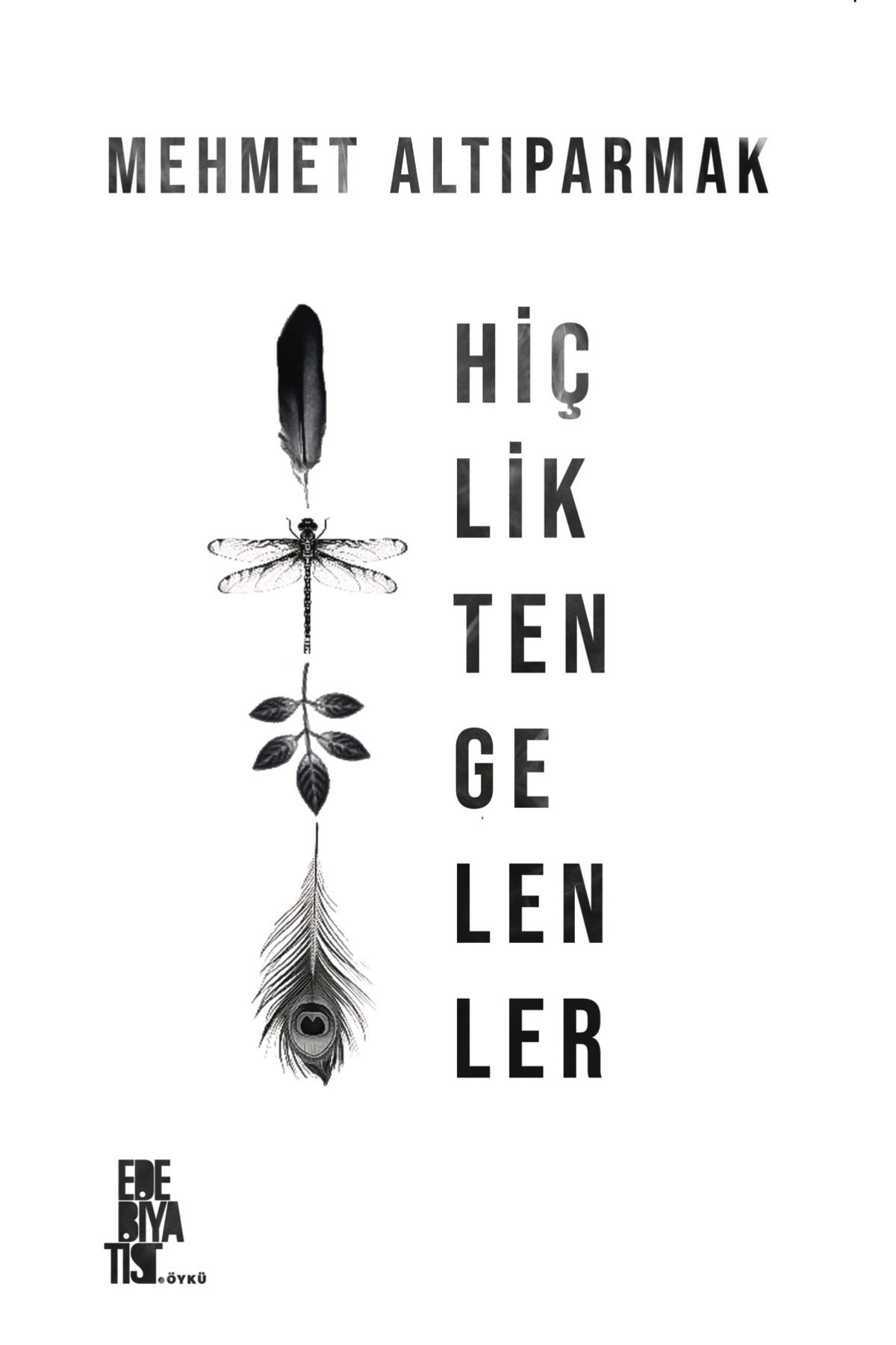 Edebiyatist Yayınevi hiçlikten gelenler