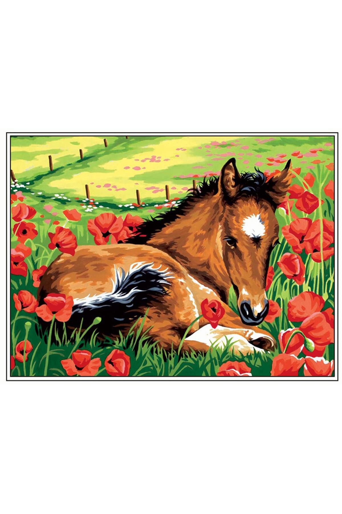 MARGOT GOBLEN 40X50CM