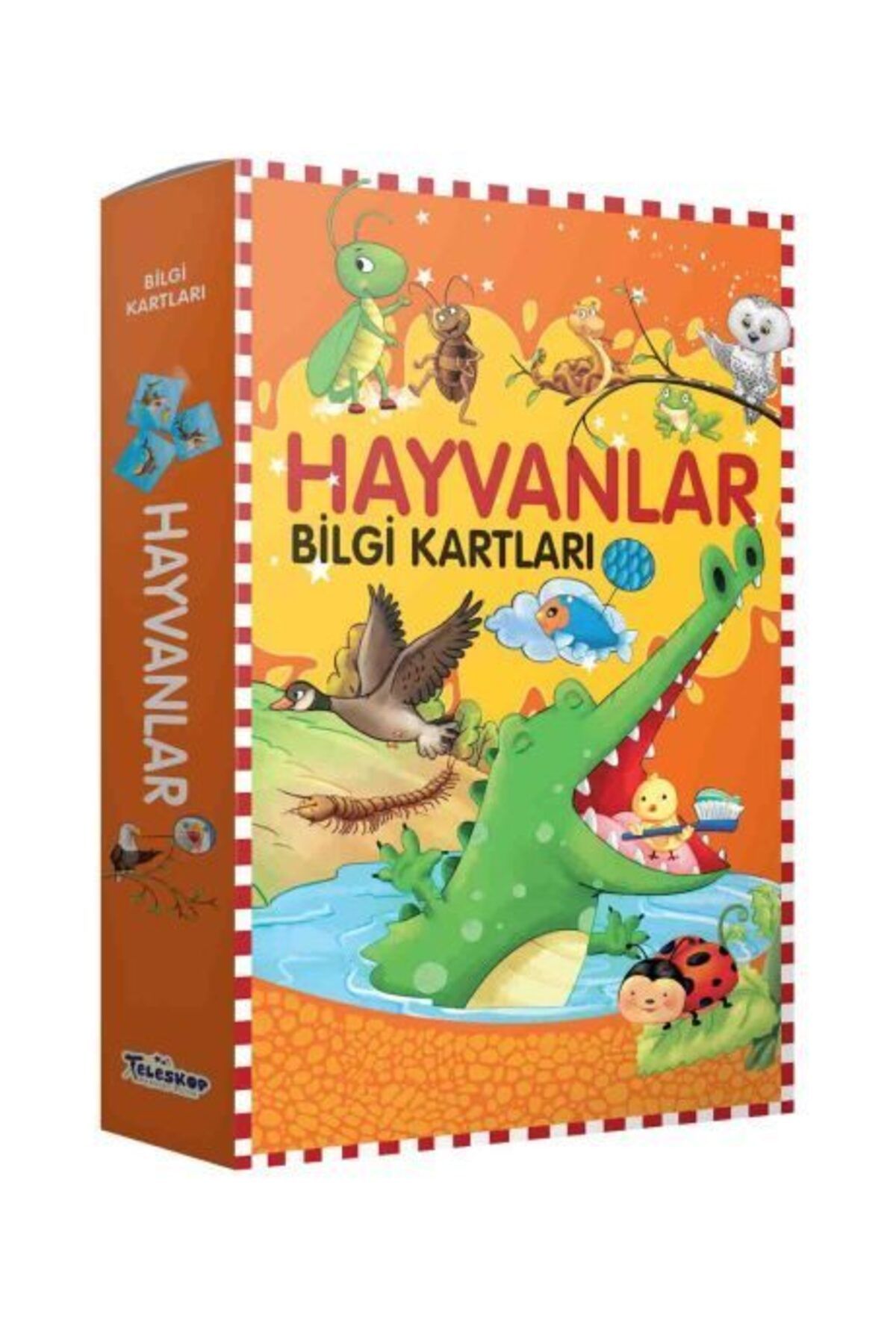 Destek Yayınları Bilgi Kartları Hayvanlar