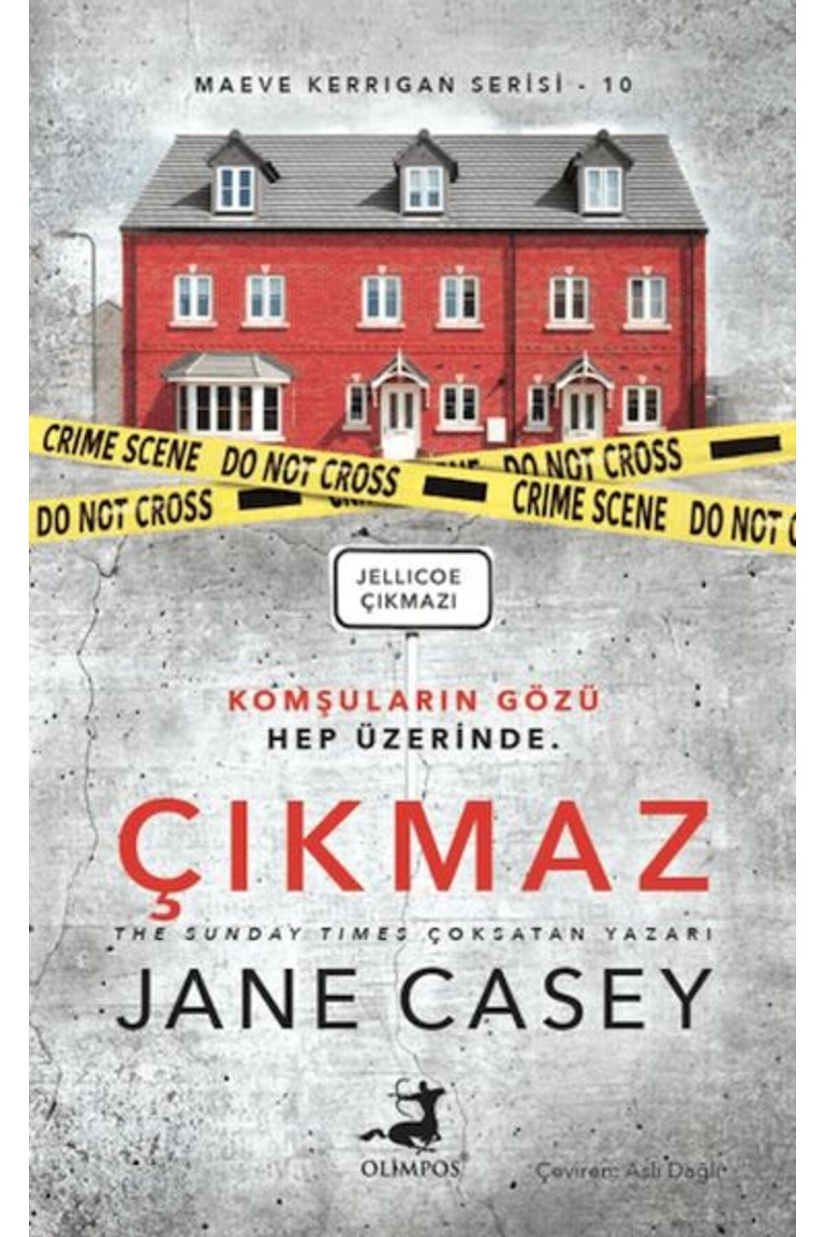 Destek Yayınları Maeve Kerrigan Serisi 10 Çıkmaz