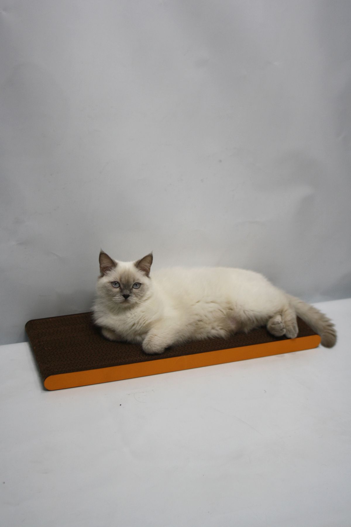 Lazy Paws-2 Pieces - Cat Scratch Cardboard - 60X24 cm - Mdf Edge 5