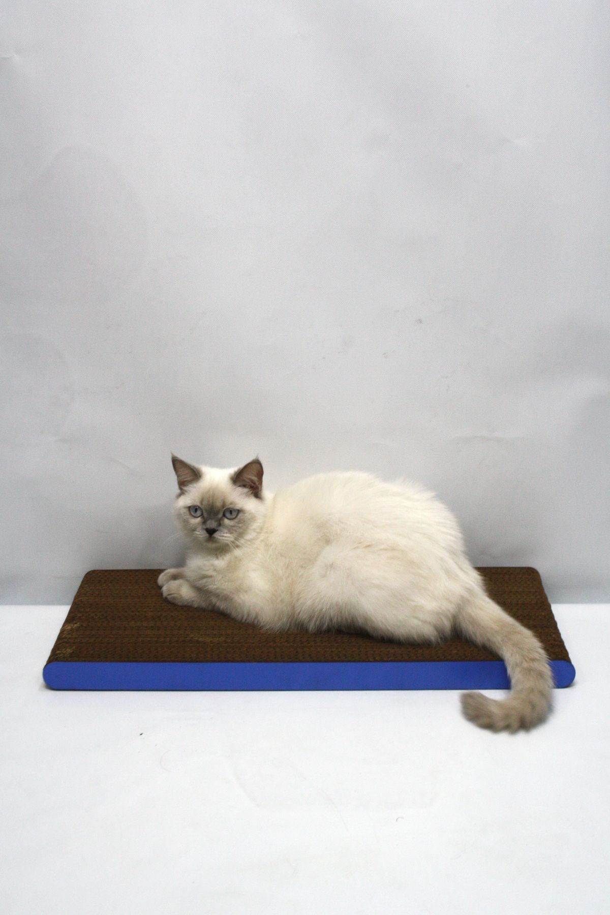 Lazy Paws-2 Pieces - Cat Scratch Cardboard - 60X24 cm - Mdf Edge 3