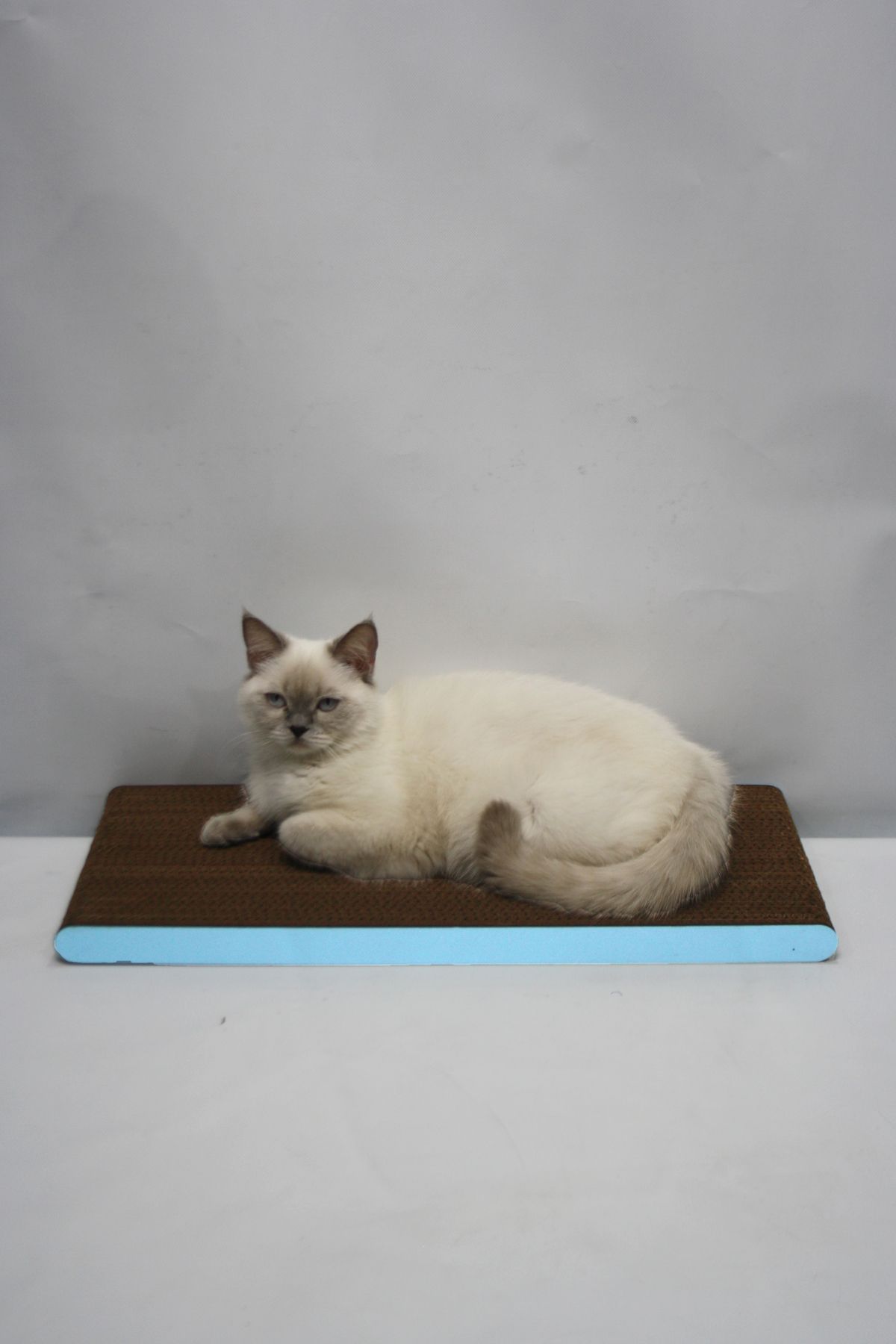 Lazy Paws-Cat Scratch Cardboard - 60X24 cm - Mdf Edge 5