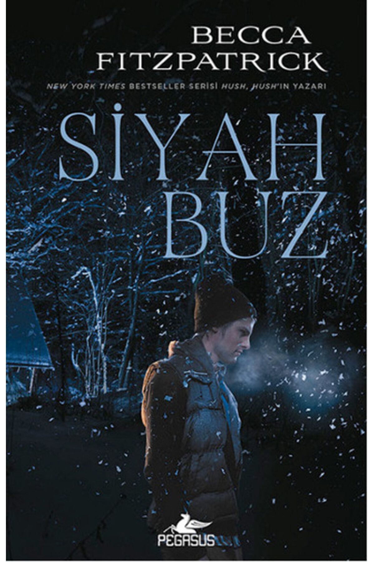 Karatay Yayınları Siyah Buz