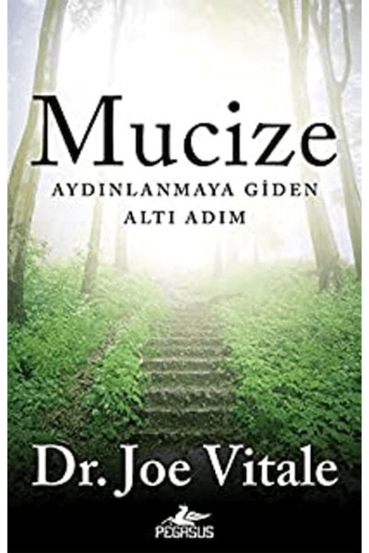 Karatay Yayınları Mucize Aydınlanmaya Giden Altı Adım