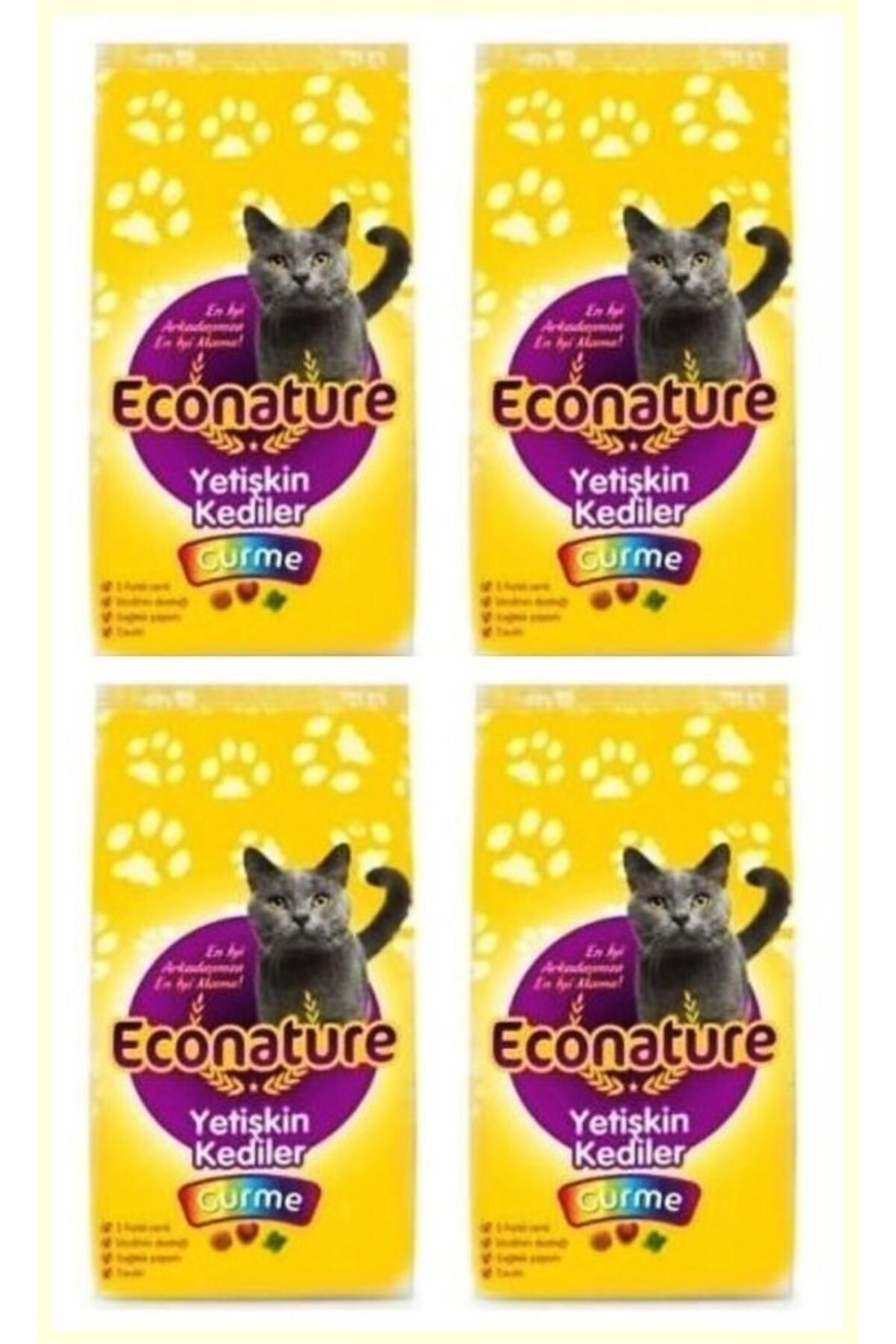 Econature Gurme Yetişkin Kedi Maması 1 Kg*4 ADET