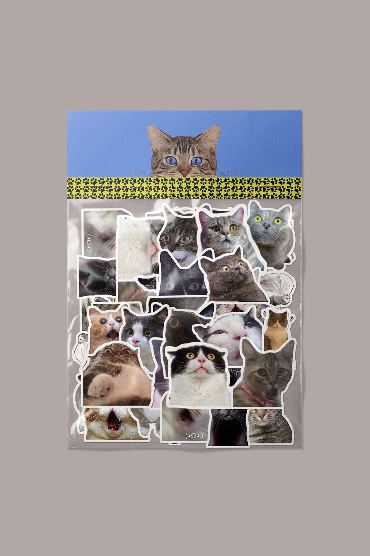 dadi ramba Şaşkın Kedi Sticker paketi -Bullet Journal- Ajanda -Laptop Etiket Çıkartma