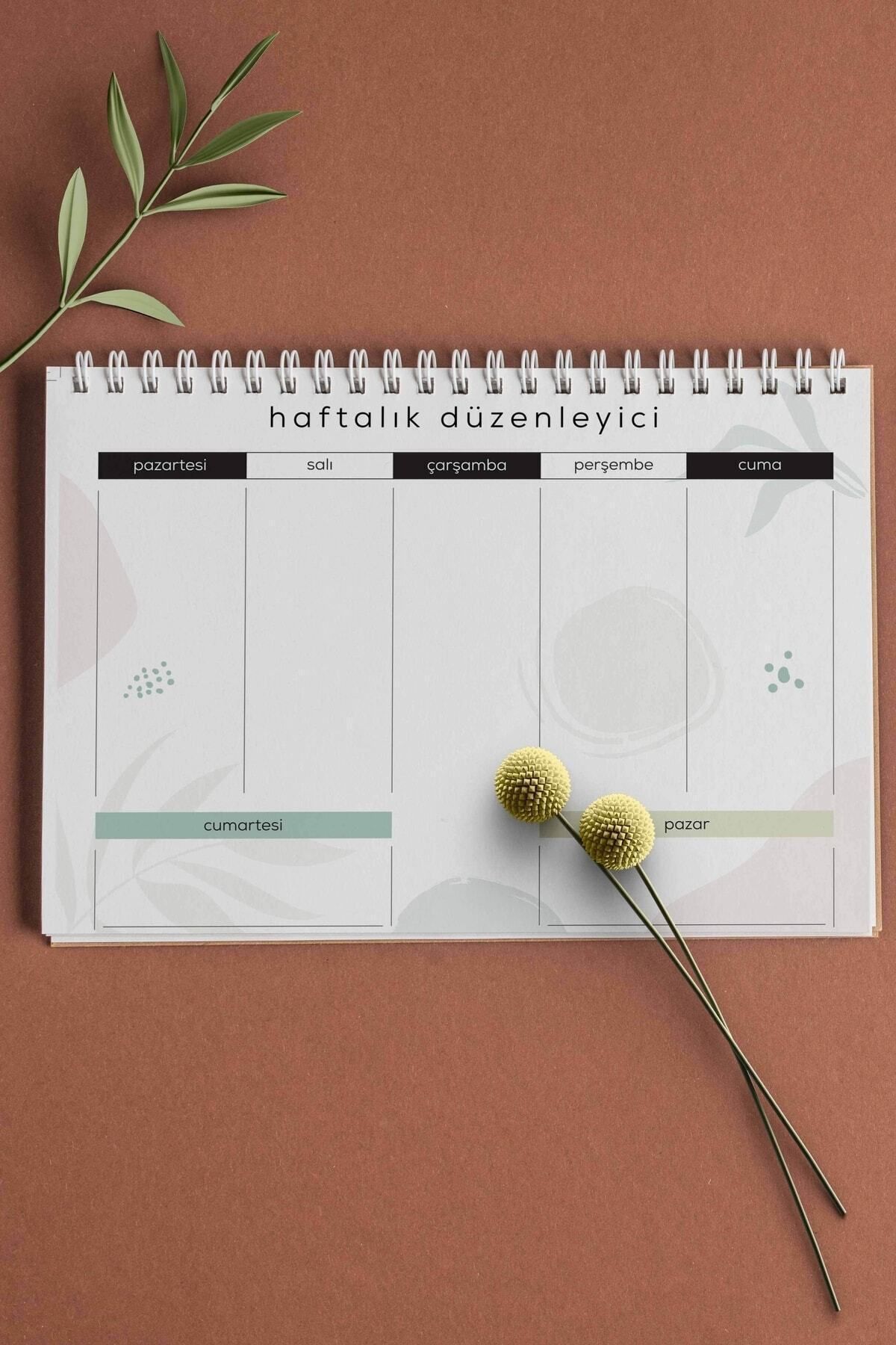 Apeirona-Planning Set |   3 Separate Special Items |   Daily Planner |   Weekly Planner |   To-Do List 4