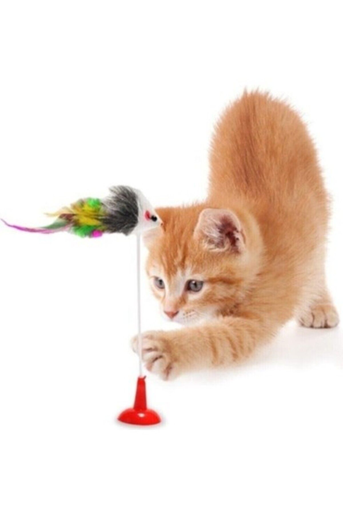 Orqinel Yıldızhane Vantuzlu Fare Kedi Oyuncağı