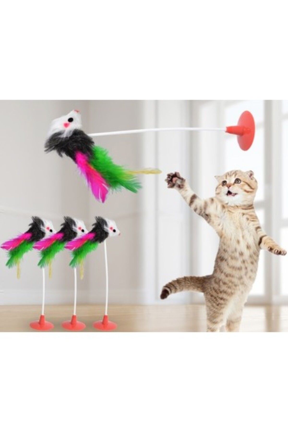 Orqinel Cmt Kedi Fare Oyuncağı