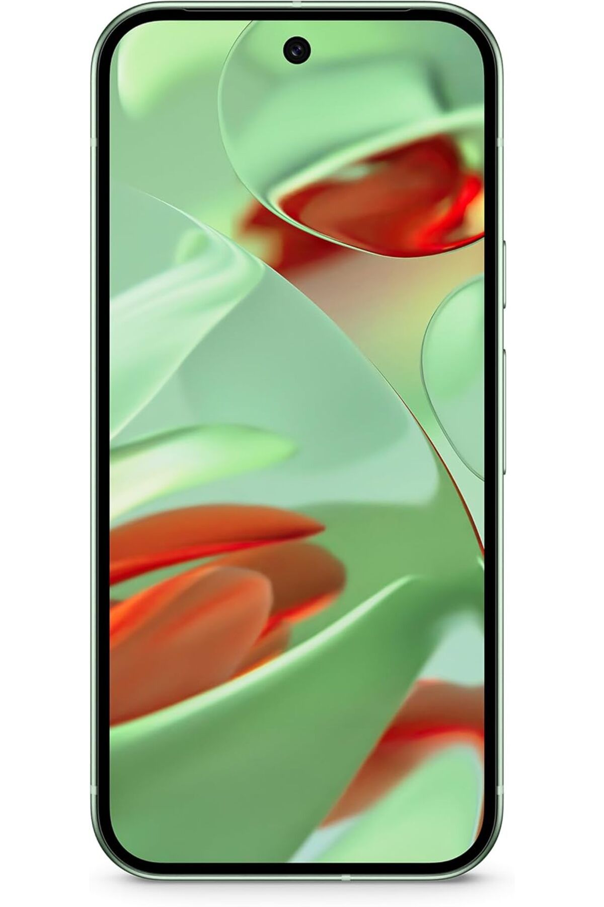 Google-Google Pixel 9 5G Dual SIM 12/256 Global Version 3