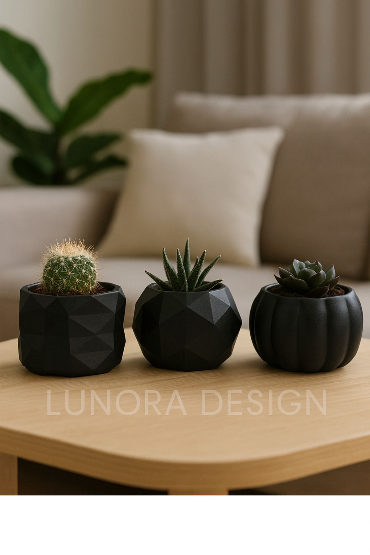 Lunora Design El Yapımı Siyah Geometrik 3’lü Sukulent Saksı Seti | Lunora Design