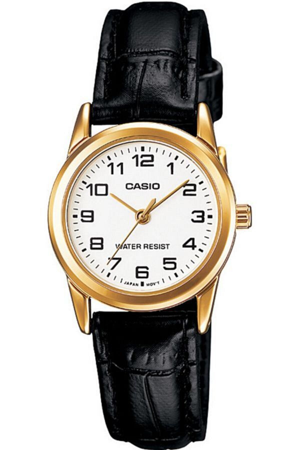 Casio-Casio LTP-V001GL-7BUDF (IRSA) 1