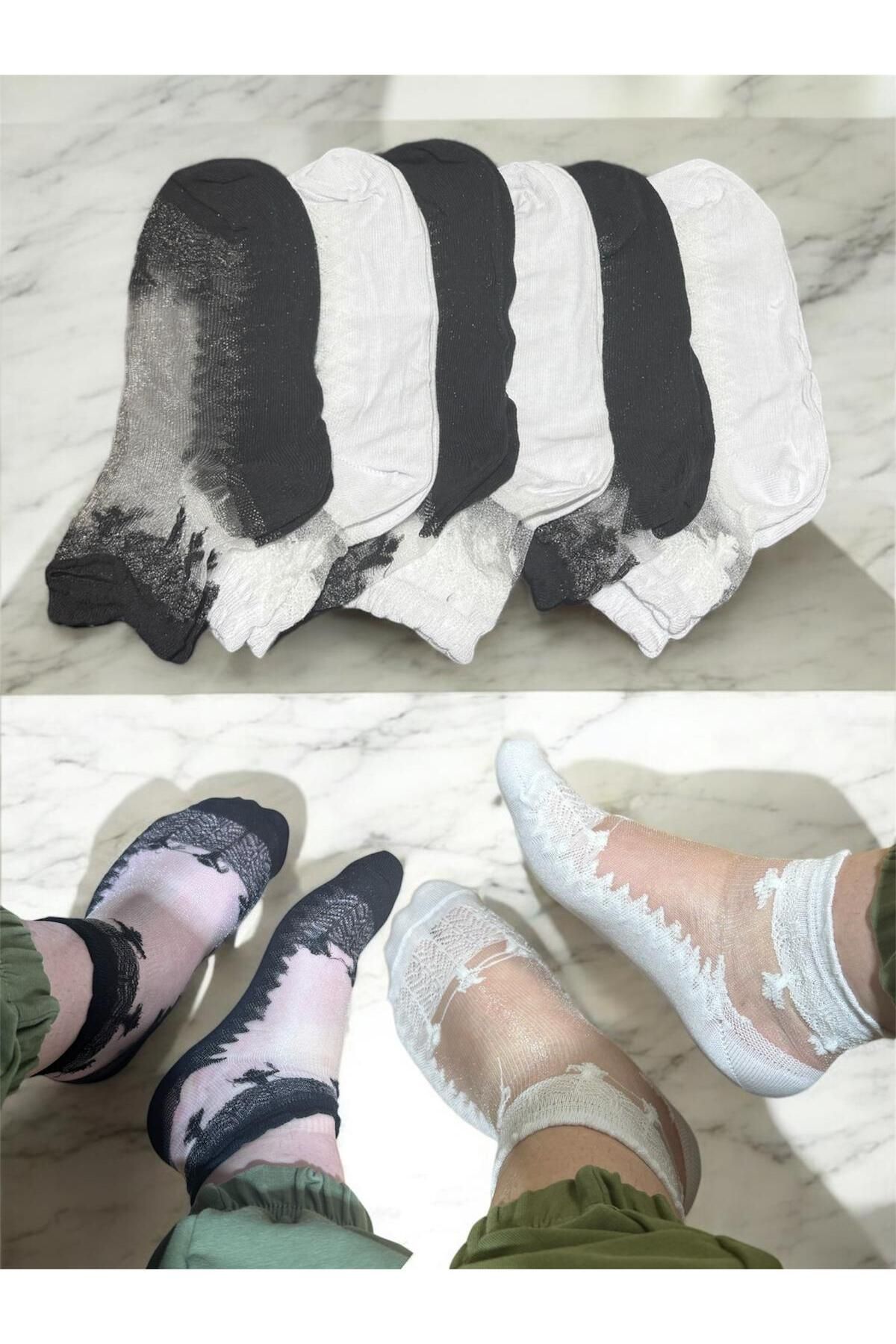 BYNDRSOCKS 6 Çift Kadın Patik Tül Pamuklu Renkli