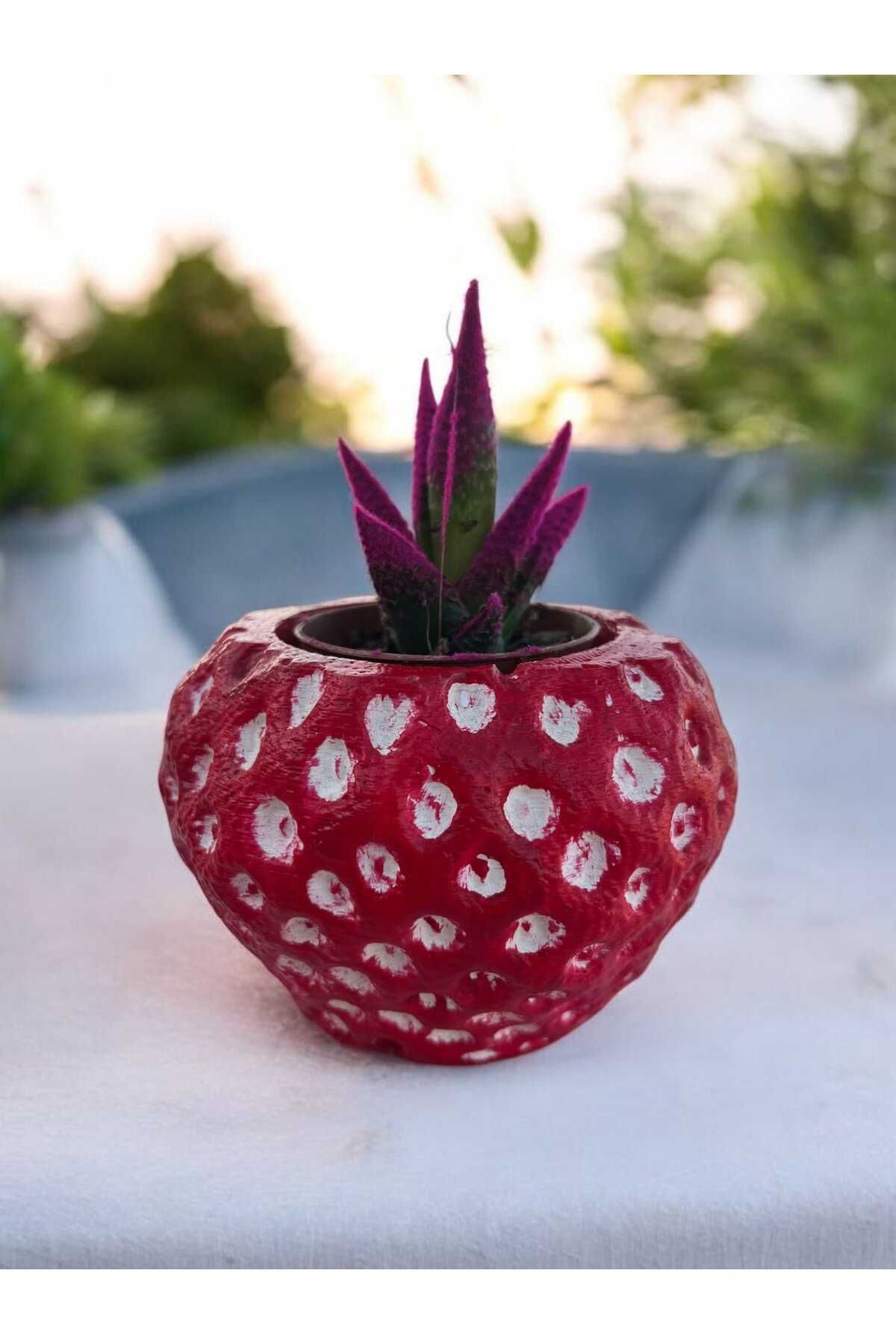 EM&MA DESİNG SUKULENT SAKSILIK 11x9 CM DEKOR OBJE AKSESUAR ÇOK AMAÇLI