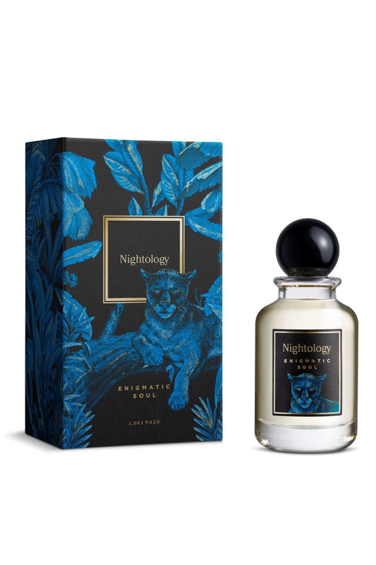 Nightology Yeni Enigmatic Soul EDP 100ML Unisex Parfüm