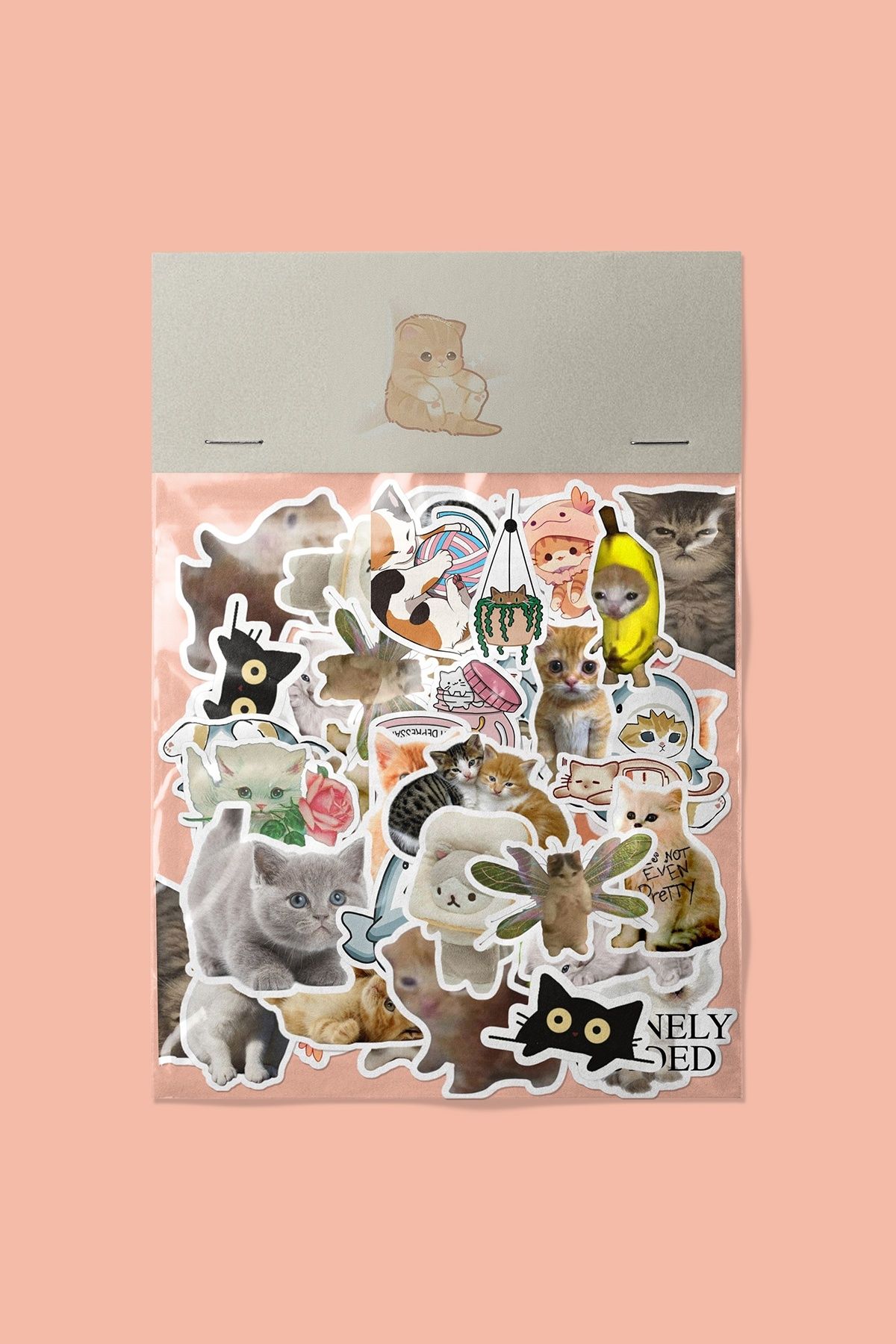 dadi ramba Yavru Kediler Sticker paketi -Bullet Journal - Ajanda -Laptop Etiket Çıkartma