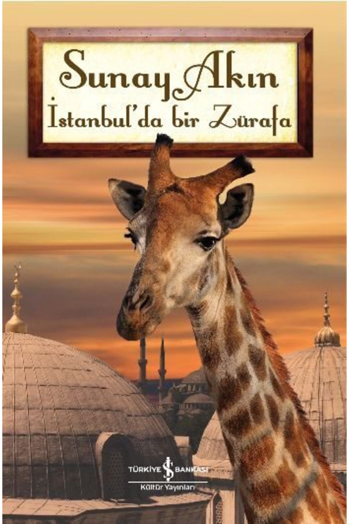Destek Yayınları İstanbulda Bir Zürafa