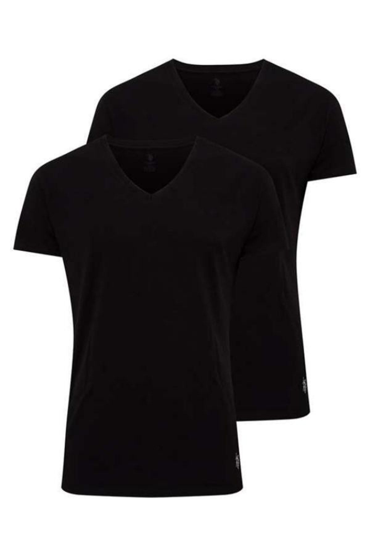 U.S. Polo Assn. V Yaka 2'li Paket Erkek T-shirt