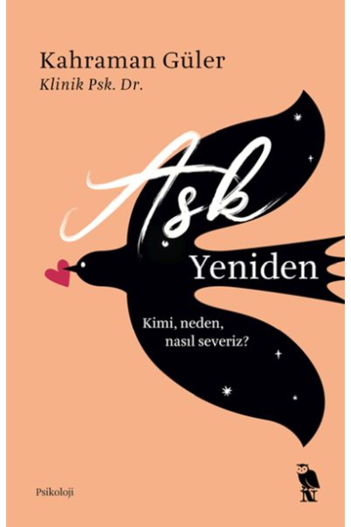 Destek Yayınları Aşk Yeniden