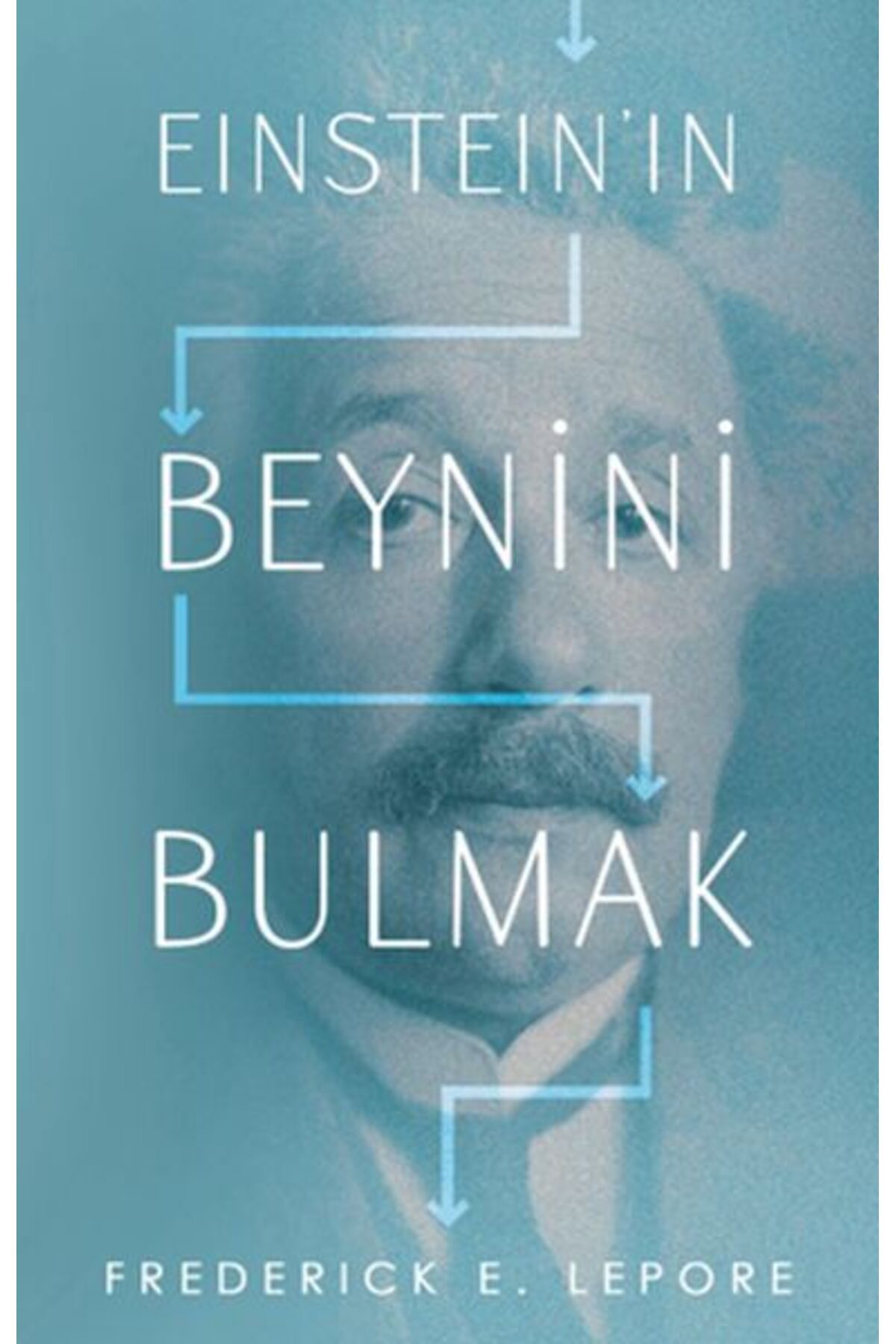 Destek Yayınları Eınsteın’ın Beynini Bulmak