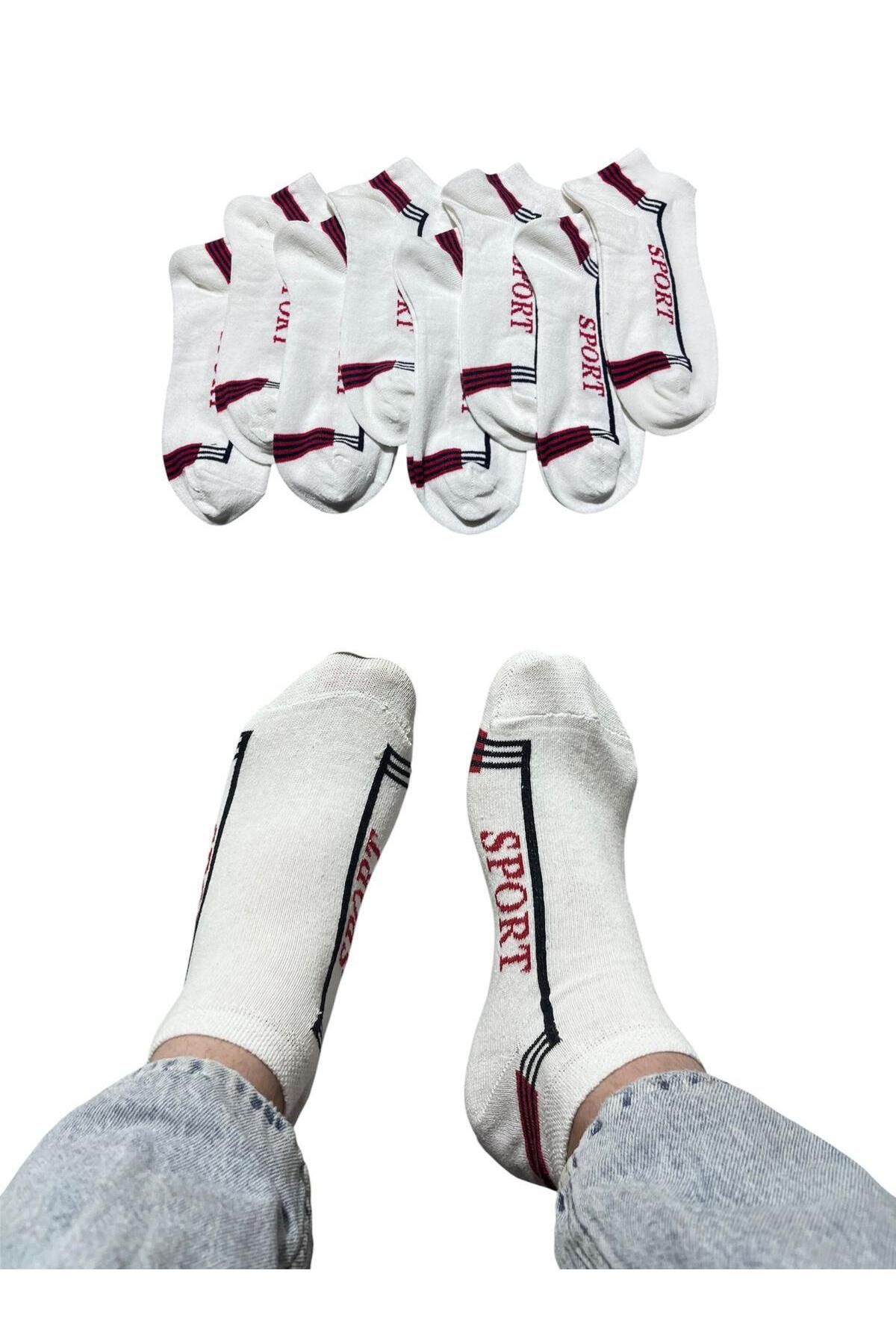 BYNDRSOCKS 7 Çift Erkek Patik Pamuklu Çorap
