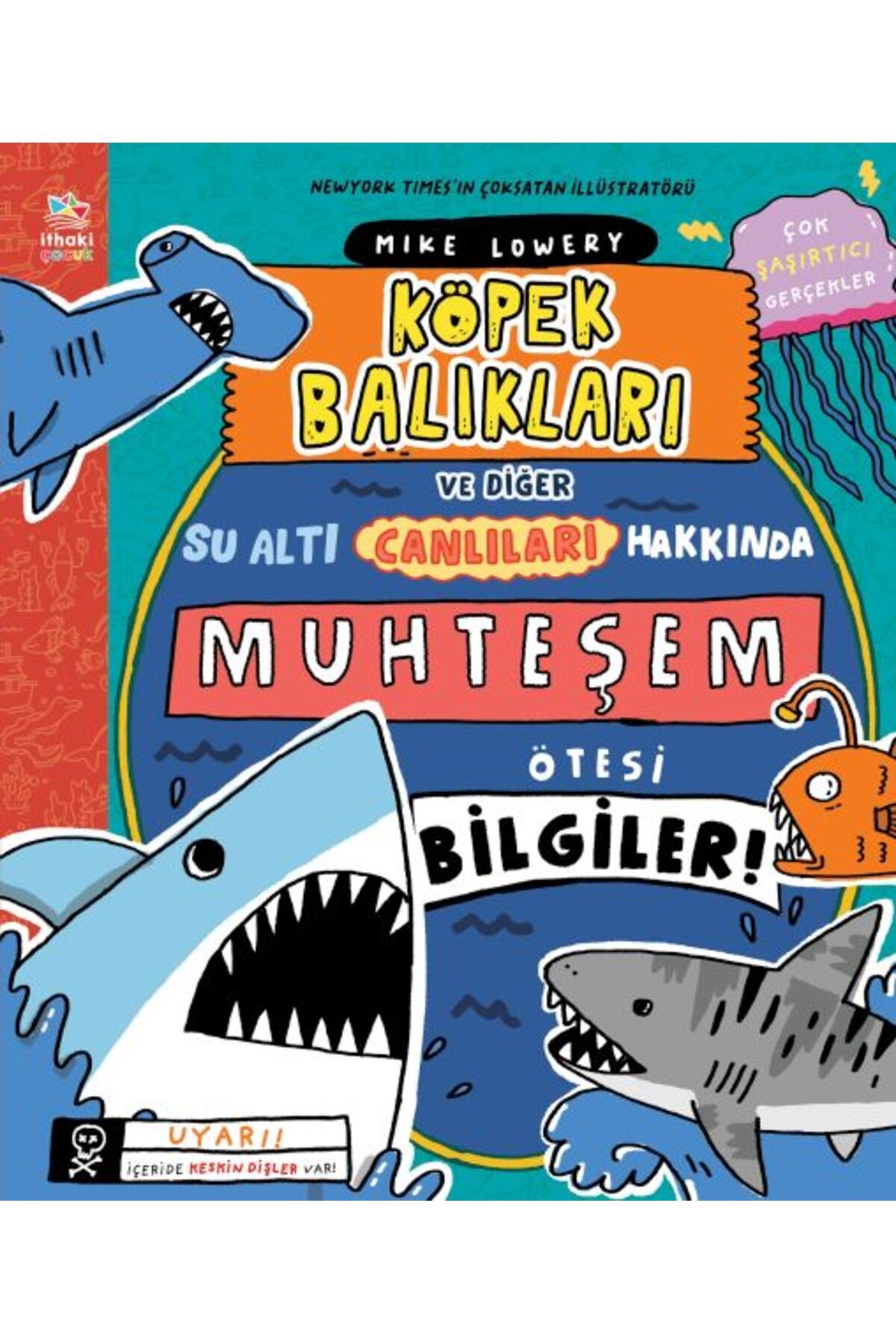 Karma Kitaplar Köpek Balıkları ve Diğer Su Altı Canlıları Hakkında Muhteşem Ötesi Bilgiler!