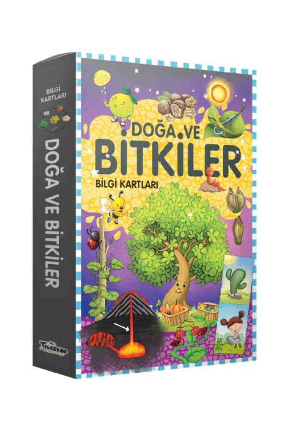 Destek Yayınları Bilgi Kartları - Doğa ve Bitkiler