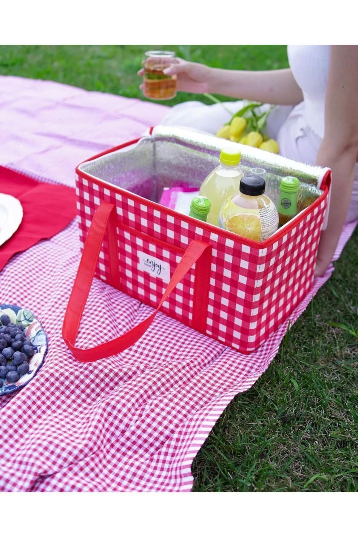 Home Termo Lüks Piknik Çantası 35 L