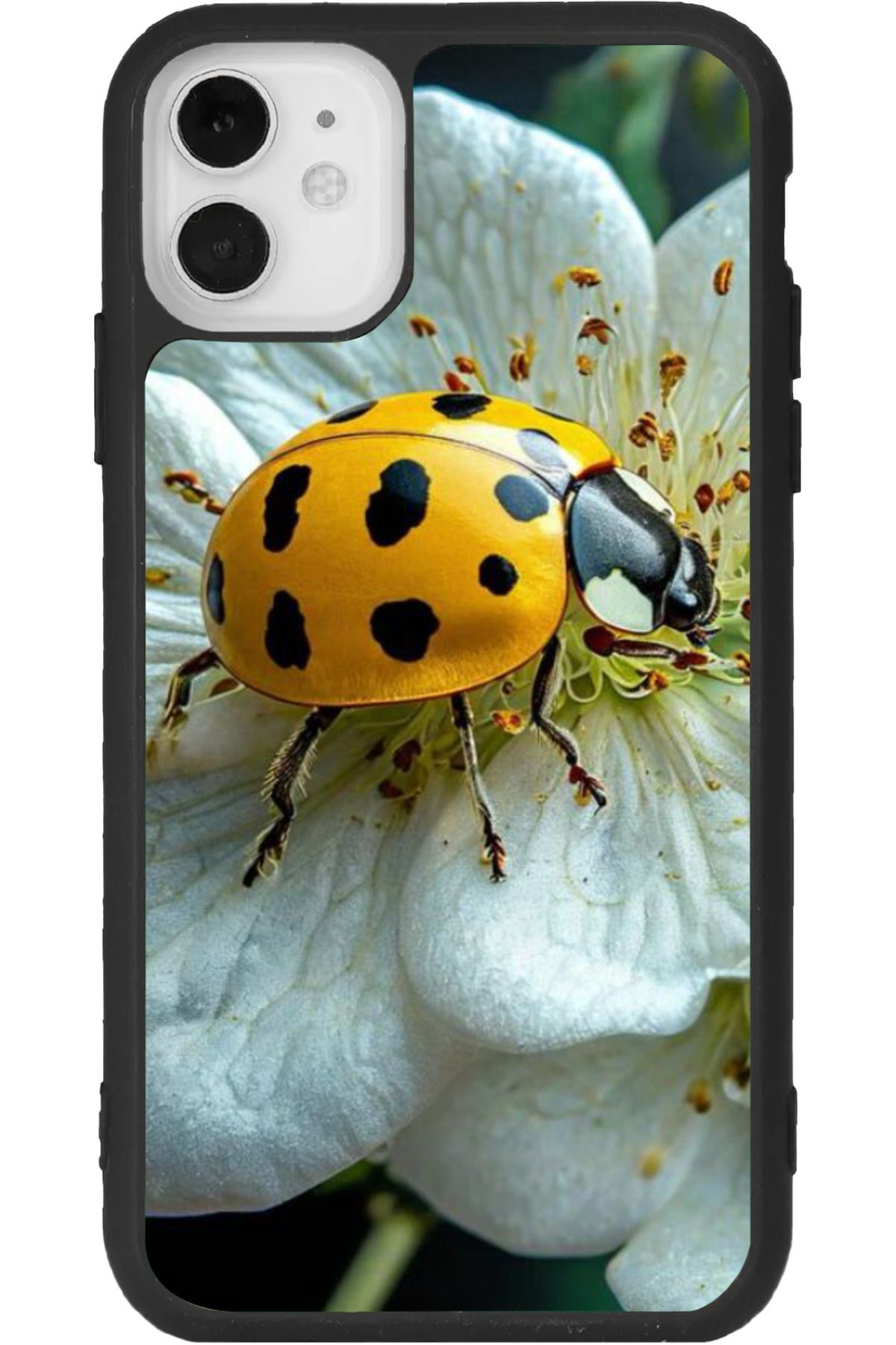 Aksel Kılıf iPhone 11 Uyumlu Baskılı, Mat Siyah Renk, Yumuşak Silikon, Koruyucu, Şok Emici Kapak, Kılıf