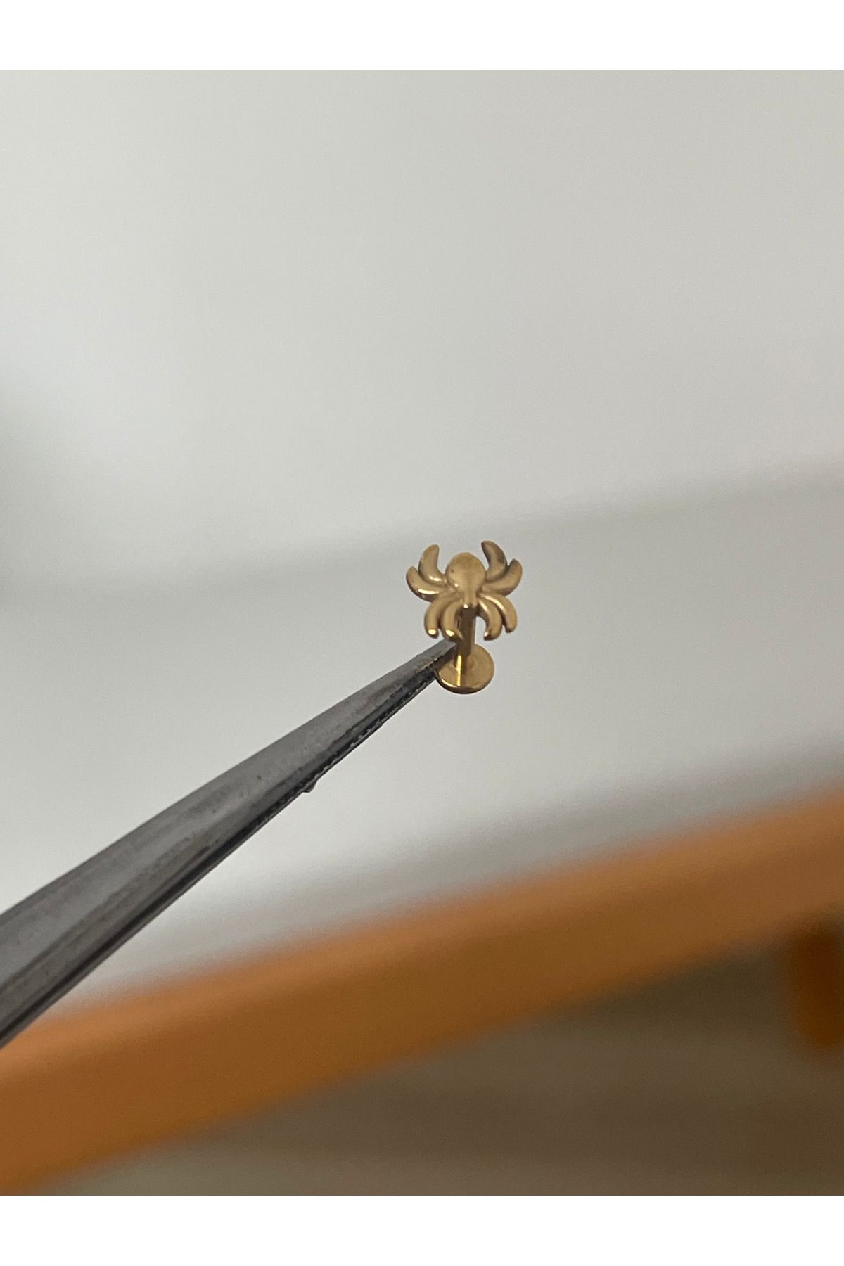 Rupen Kraft 316 L Cerrahi Çelik Örümcek Modeli Gold Tragus Helix Kıkırdak Piercing