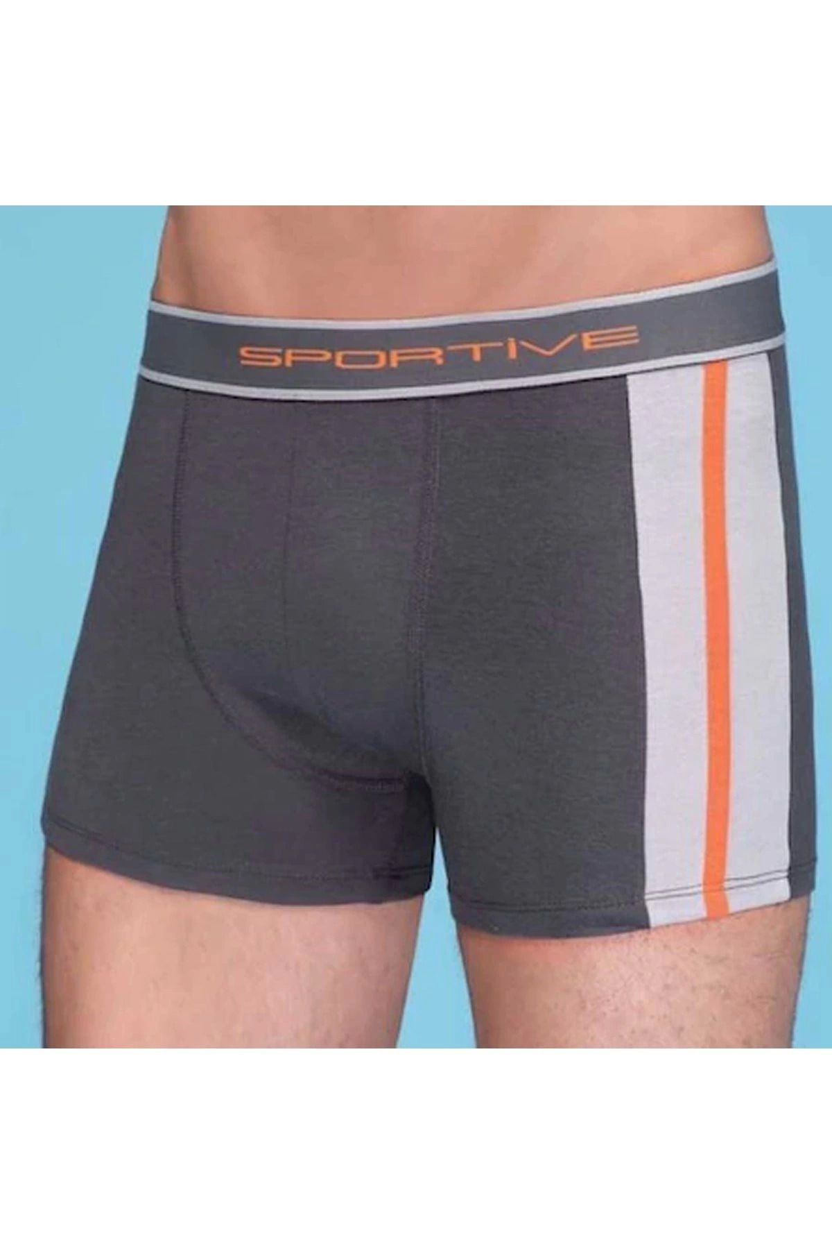 Moda Şahsenem Erkek Modal Boxer 1080