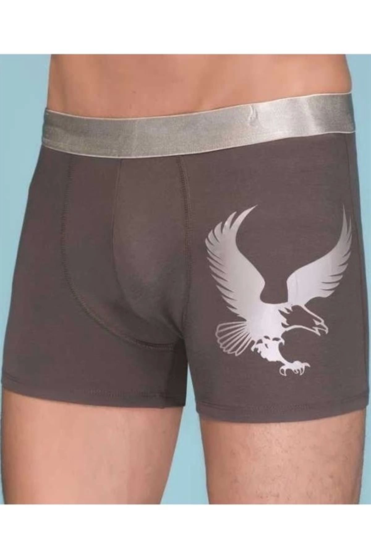 Moda Şahsenem Berrak Erkek Eagle Boxer 1091