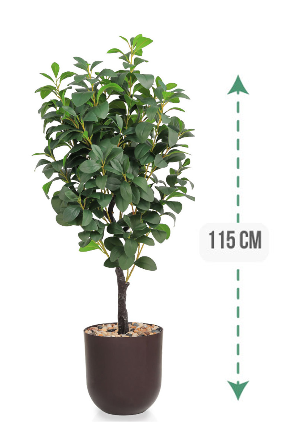 Generic-Lemon tree in a cylindrical plastic pot 1