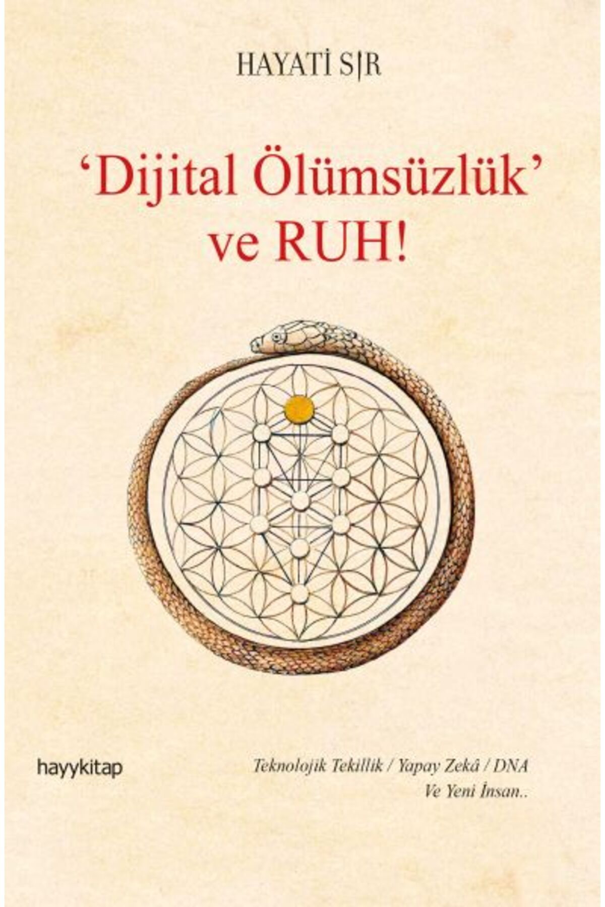 Destek Yayınları Dijital Ölümsüzlük ve Ruh