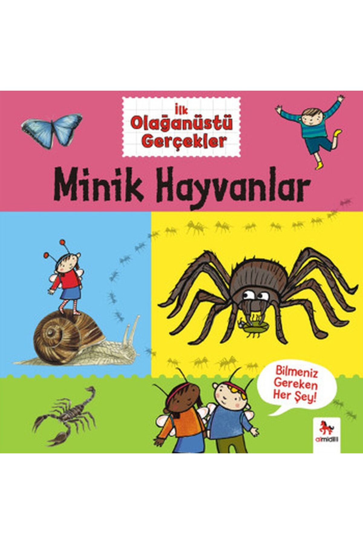Destek Yayınları İlk Olağanüstü Gerçekler - Minik Hayvanlar