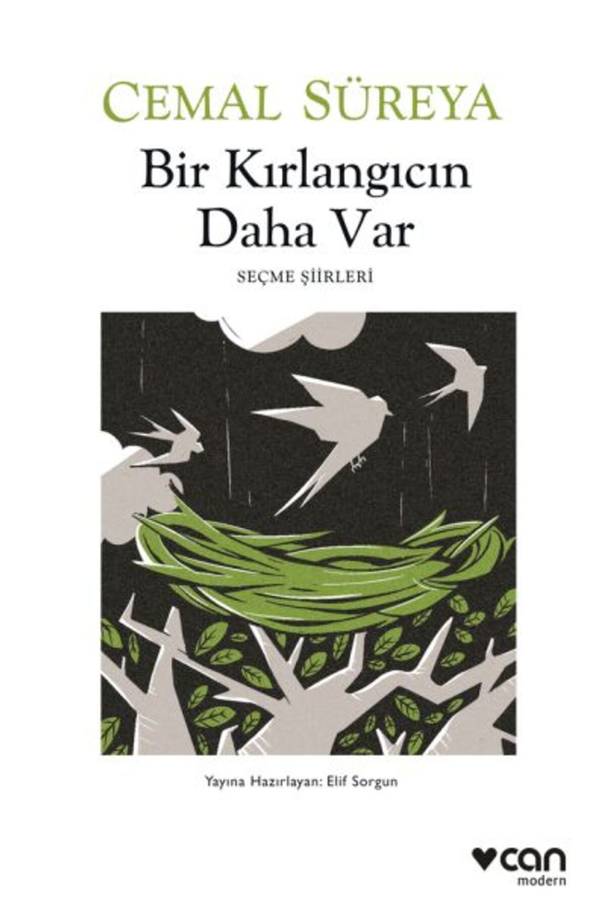Destek Yayınları Bir Kırlangıcın Daha Var