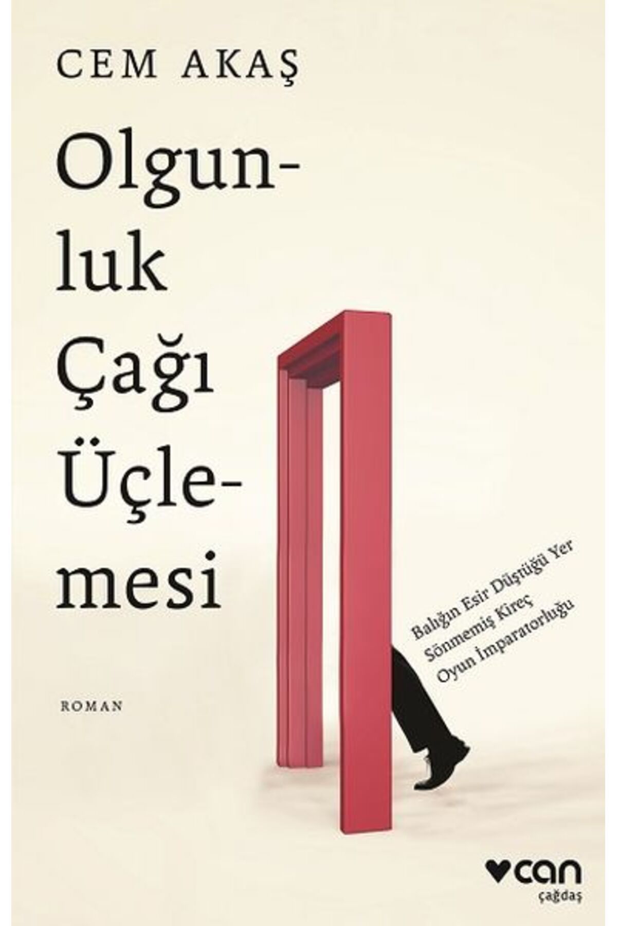 Destek Yayınları Olgunluk Çağı Üçlemesi