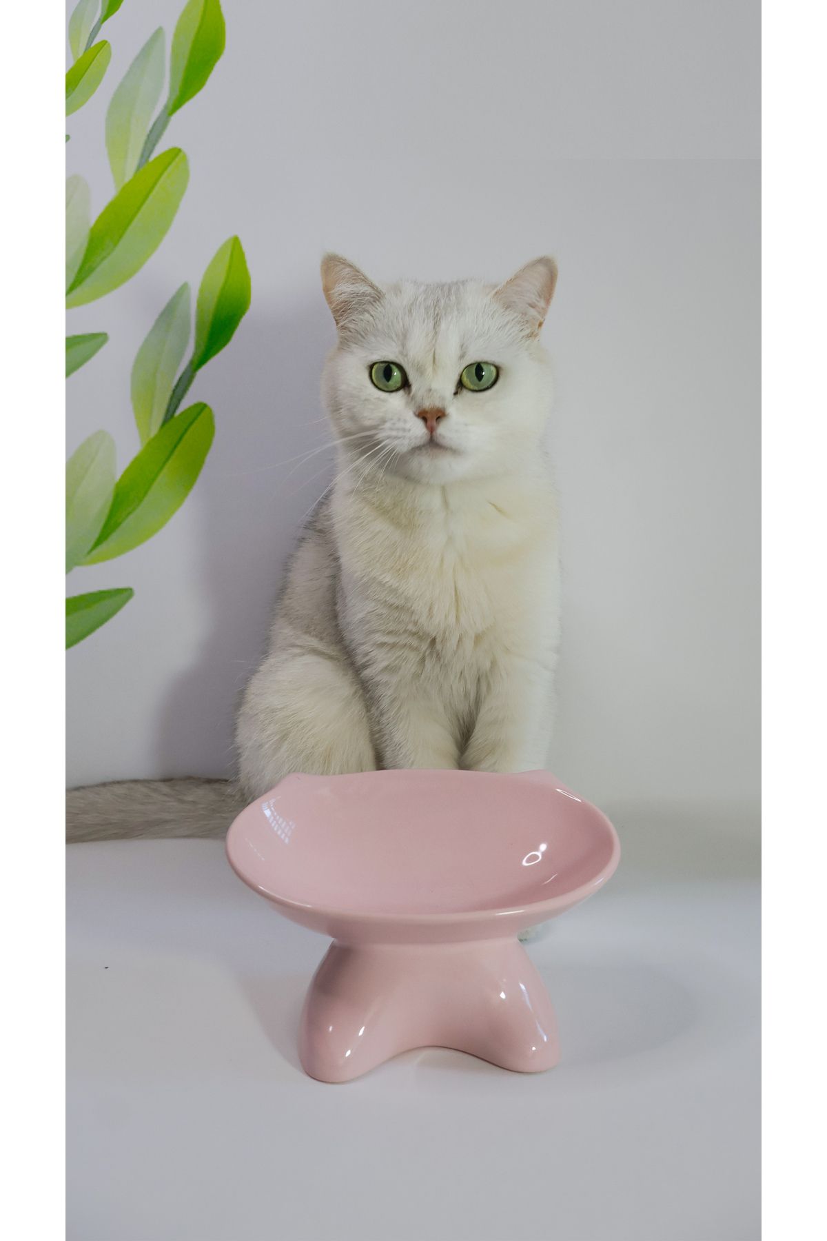 TAMER YİĞİT Özel Tasarım Kedi Maması Kabı 1.Kalite Seramik Pembe 2 Adet
