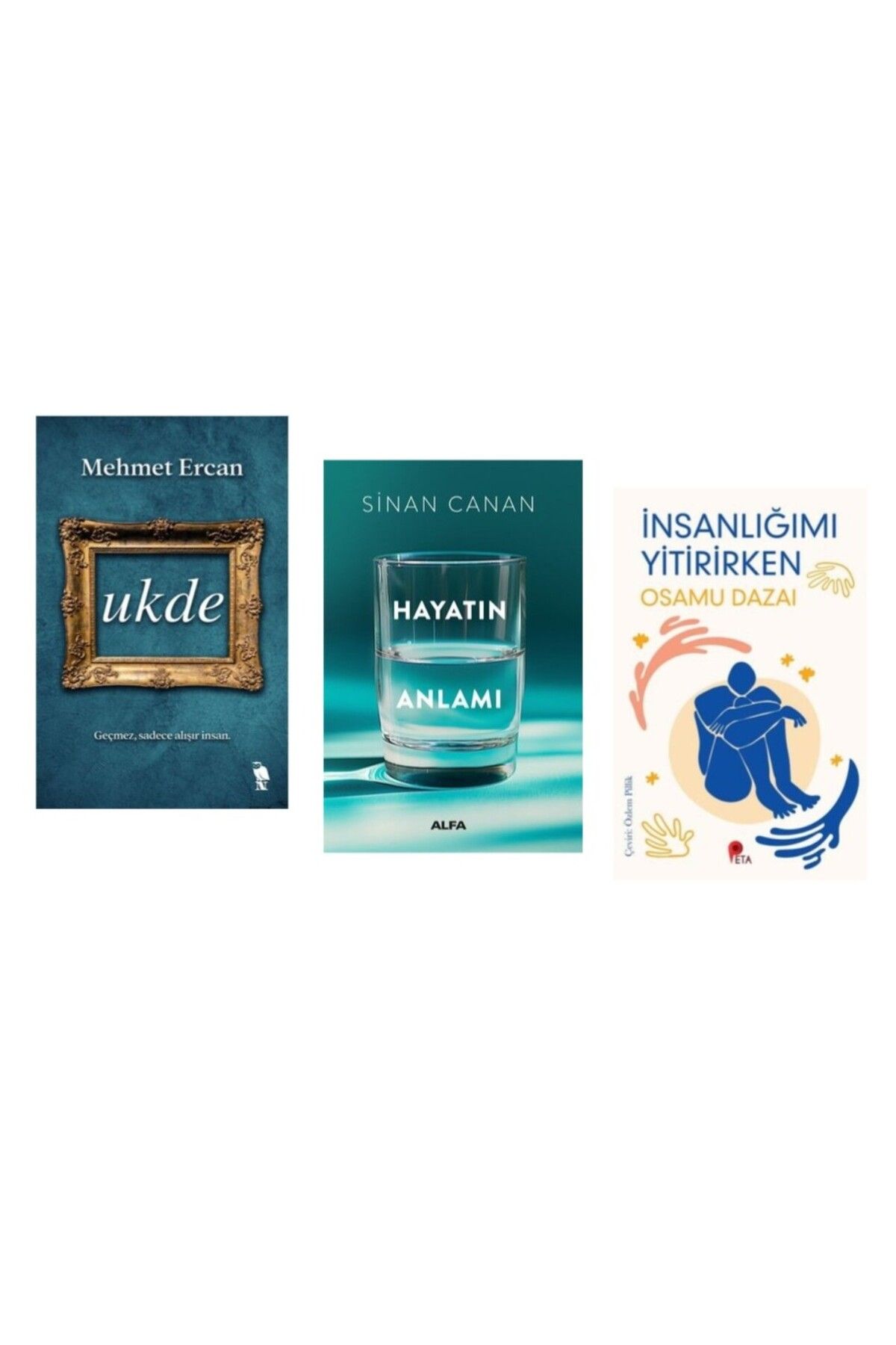 Nemesis Kitap Ukde - Hayatın Anlamı - (İNSANLIĞIMI YİTİRİRKEN KİTABI HEDİYE)