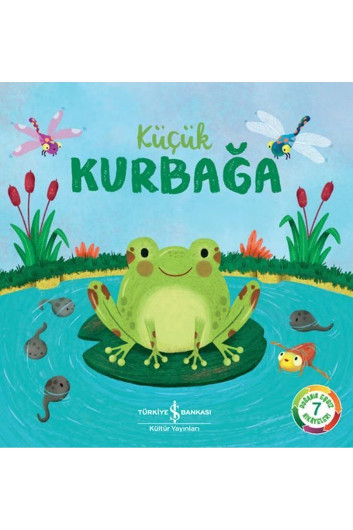 Destek Yayınları Küçük Kurbağa
