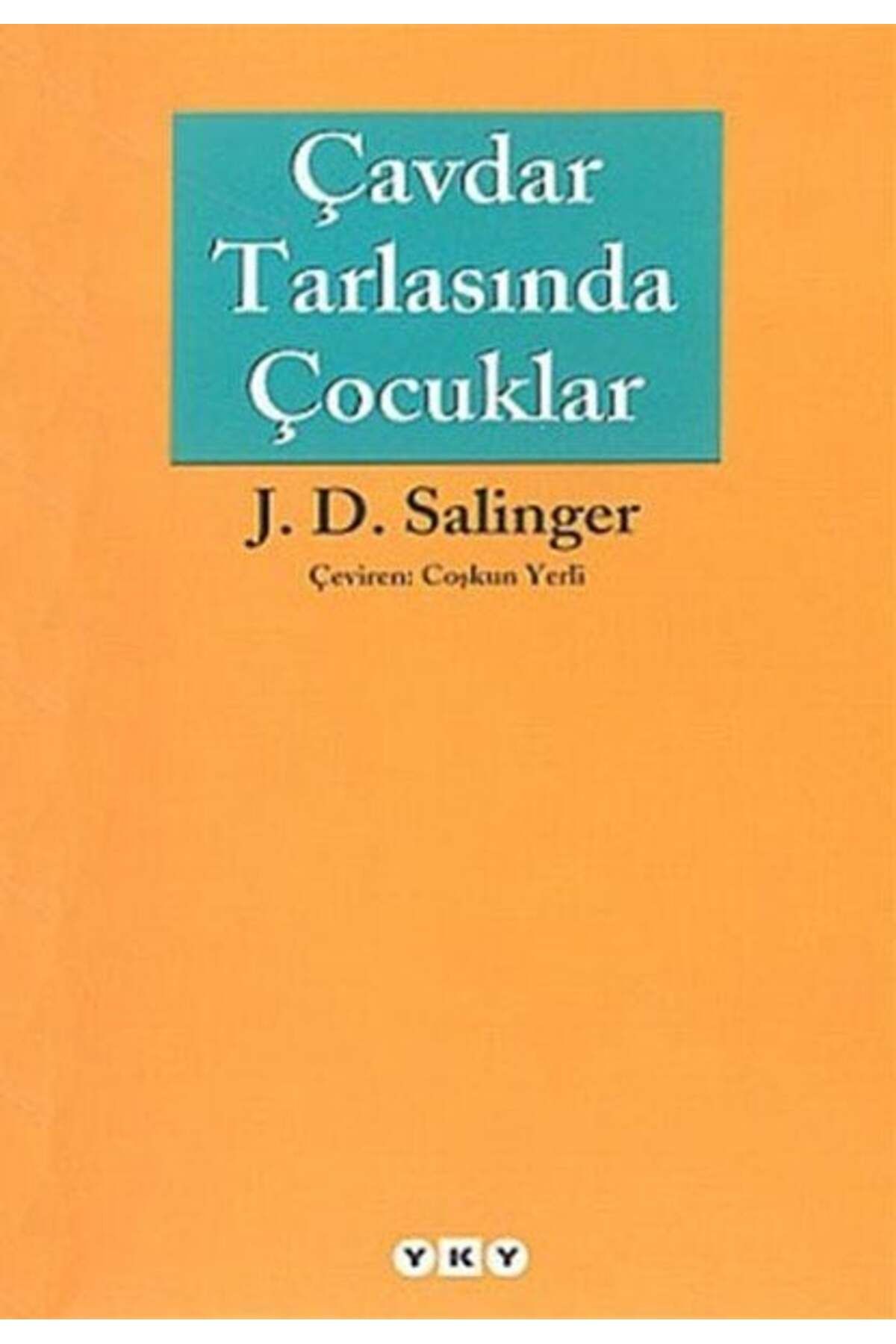 Destek Yayınları Çavdar Tarlasında Çocuklar