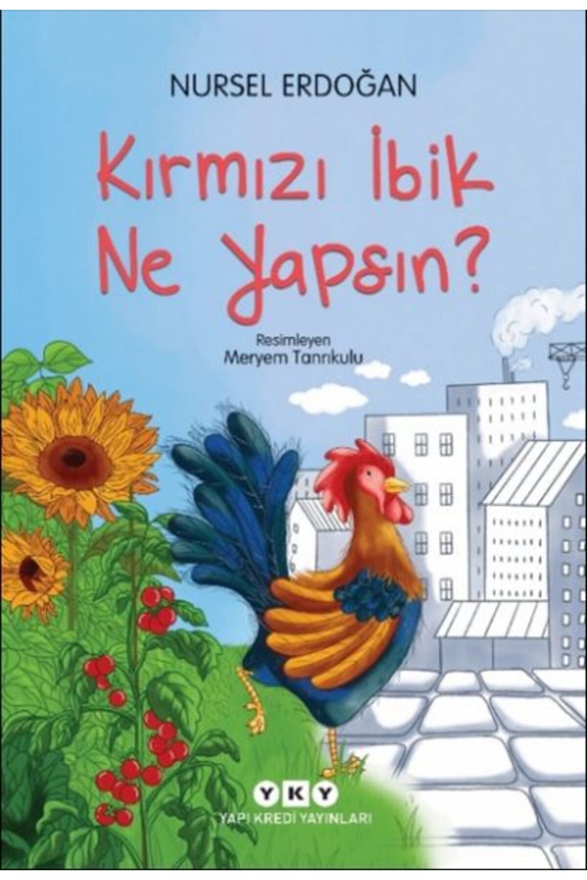 Destek Yayınları Kırmızı İbik Ne Yapsın