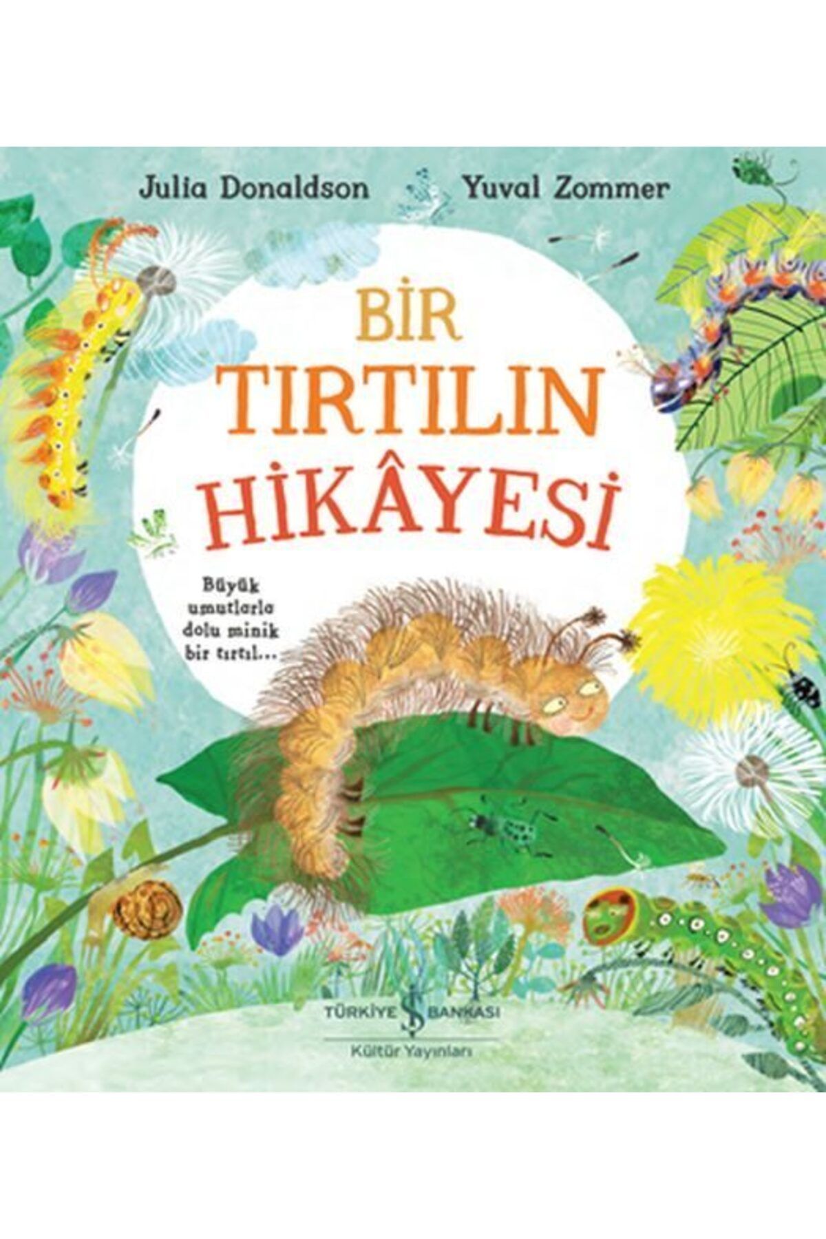 Destek Yayınları Bir Tırtılın Hikayesi