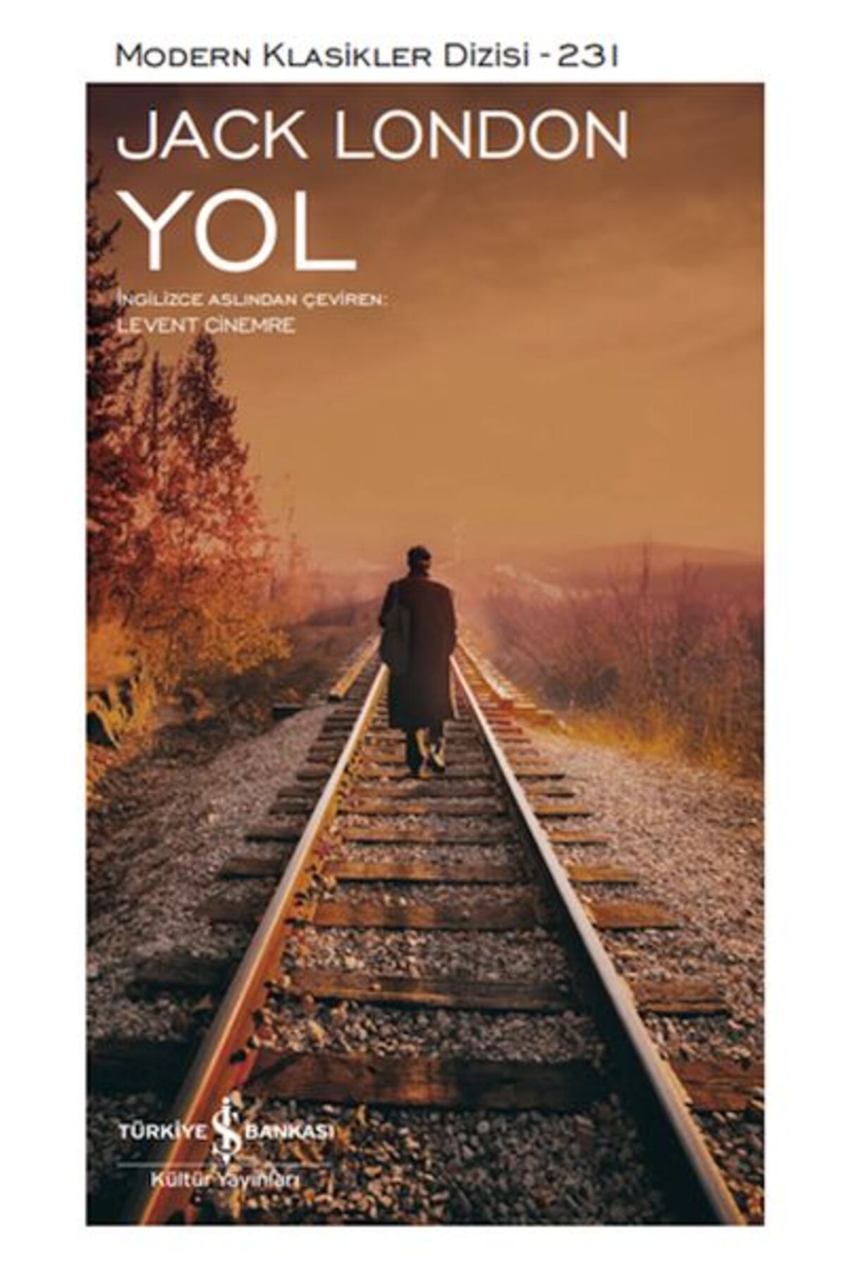 Destek Yayınları Yol Modern Klasikler Dizisi