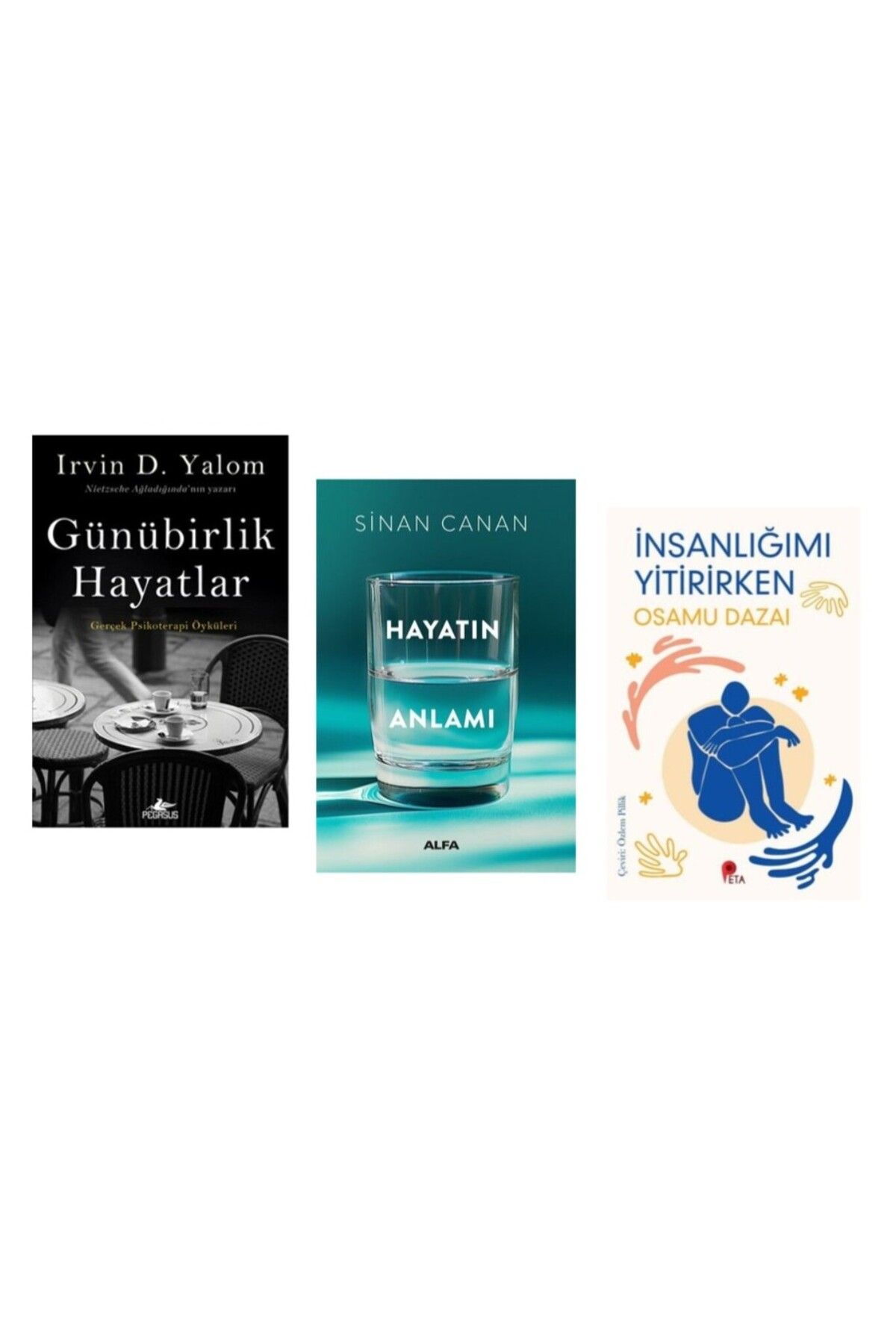 Pegasus Yayınları Günübirlik Hayatlar - Hayatın Anlamı - (İNSANLIĞIMI YİTİRİRKEN KİTABI HEDİYE)