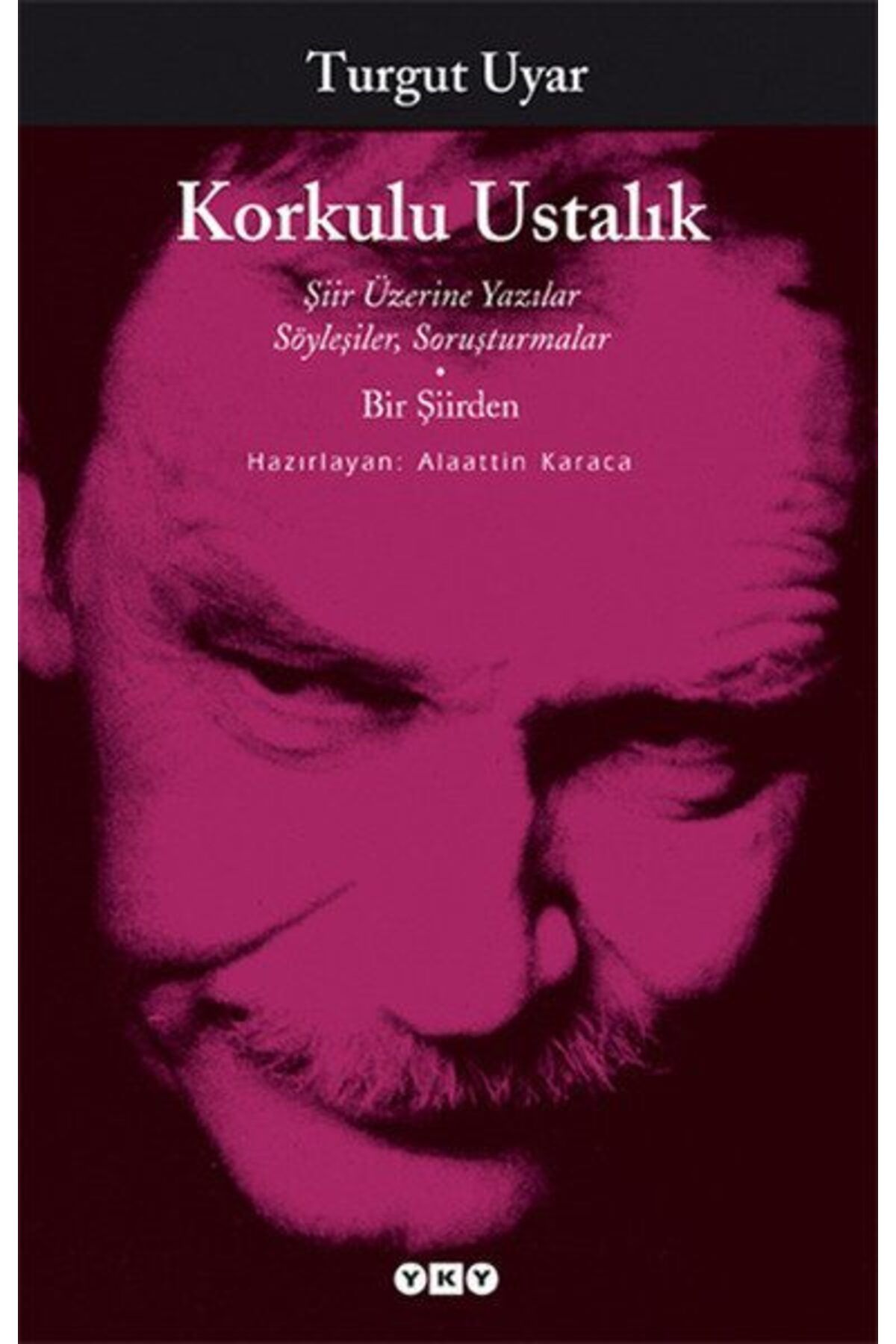 Destek Yayınları Korkulu Ustalık