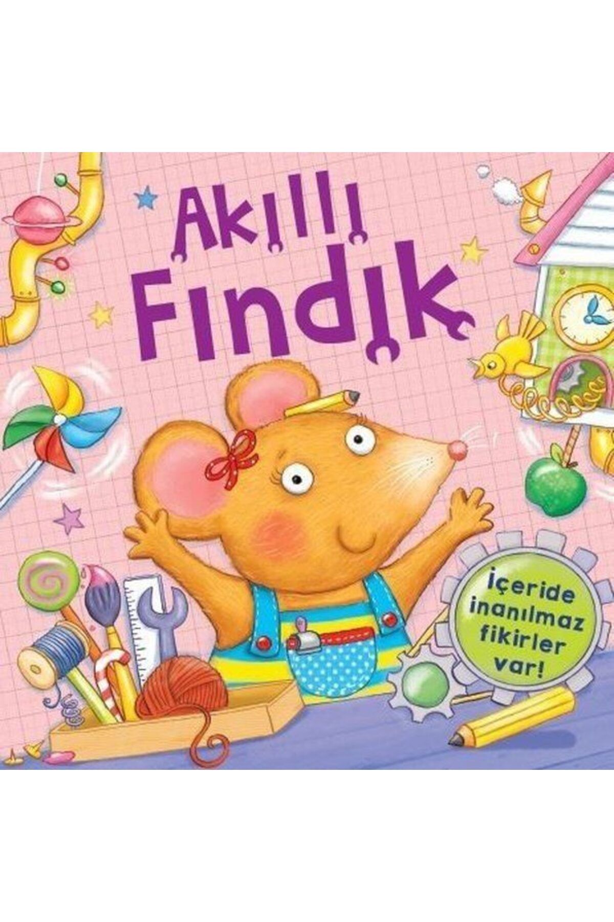 Destek Yayınları Akıllı Fındık